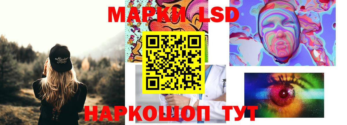 ЛСД экстази  Вход с VPN  Новозыбков  ЛСД экстази кислота 