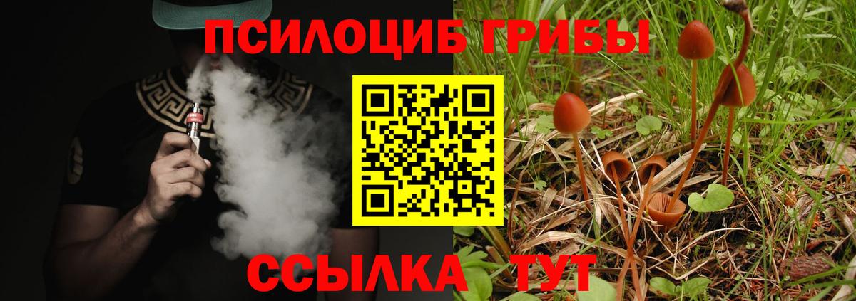 Галлюциногенные грибы Magic Shrooms Новозыбков