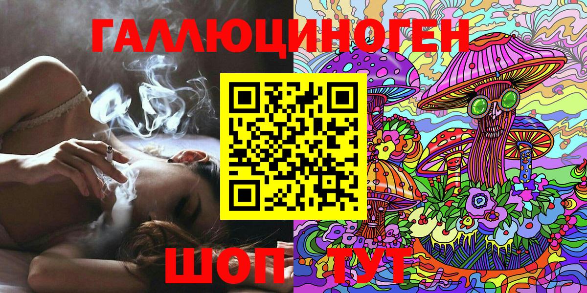 Новозыбков  Псилоцибиновые грибы Psilocybine cubensis  купить наркоту  Вход с VPN  Галлюциногенные грибы GOLDEN TEACHER 